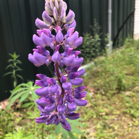 Meet me๐๐ - Picture 6 of 7